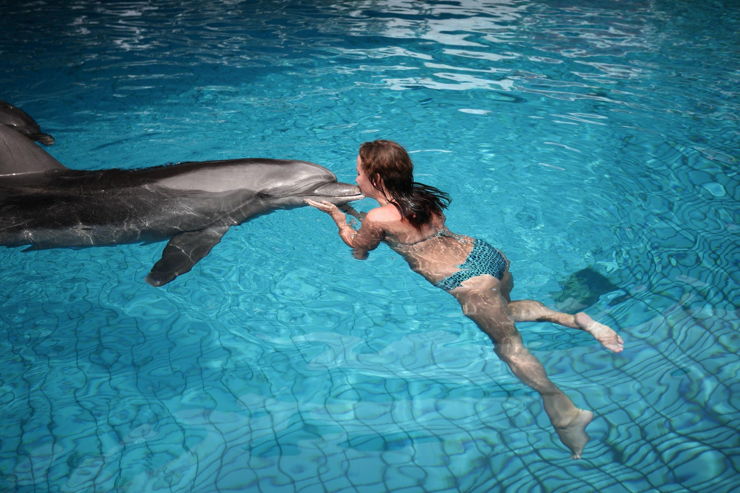 Фото дельфинария в Кемере