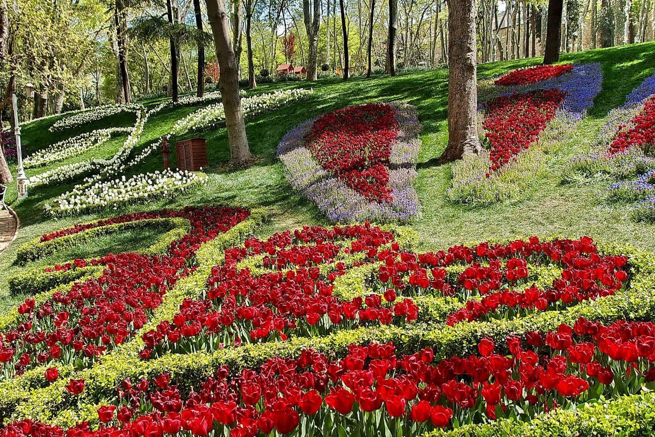 Фото цветов в парке Гюльхане