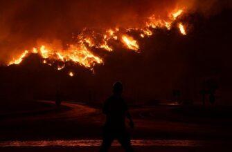 Шокирующая версия о поджогах в лесах Турции
