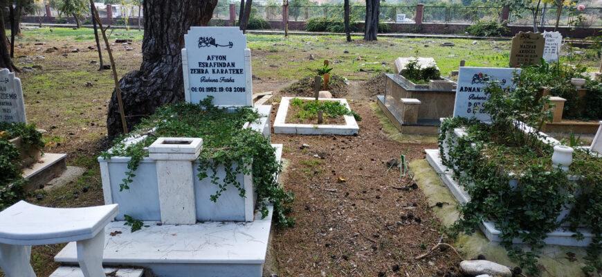В Турции руководство кладбище обвинили в неуважении к мертвым