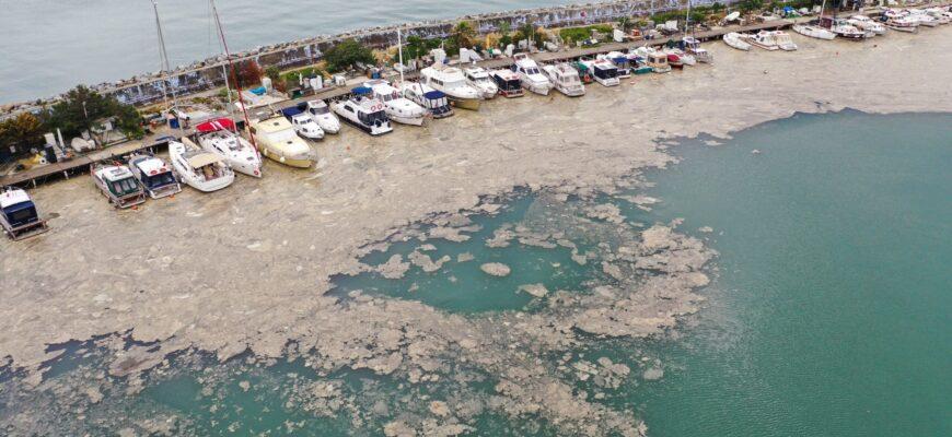 Турецкие пляжи может накрыть экологическая катастрофа с моря