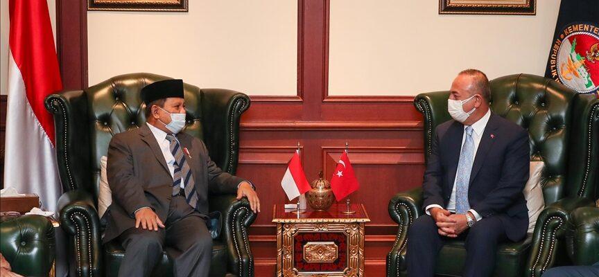 Турция и Индонезия плечом к плечу встали на борьбу с ковидом