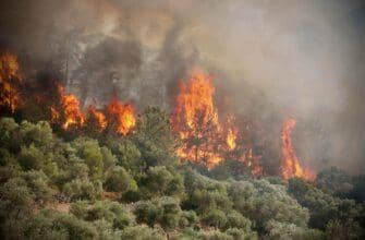 Пожары в Турции