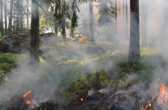 В Анталии зафиксирован очередной лесной пожар