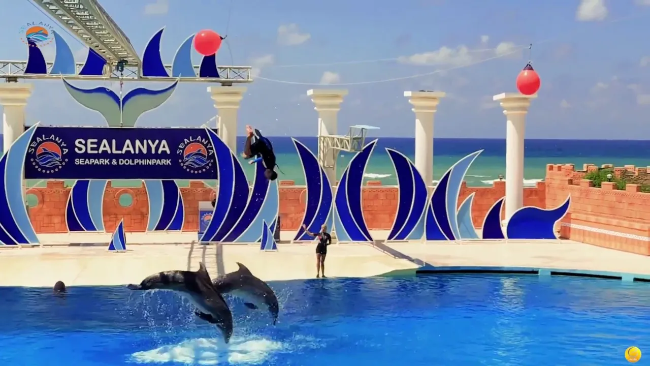 Sealanya Dolphinpark – Алания