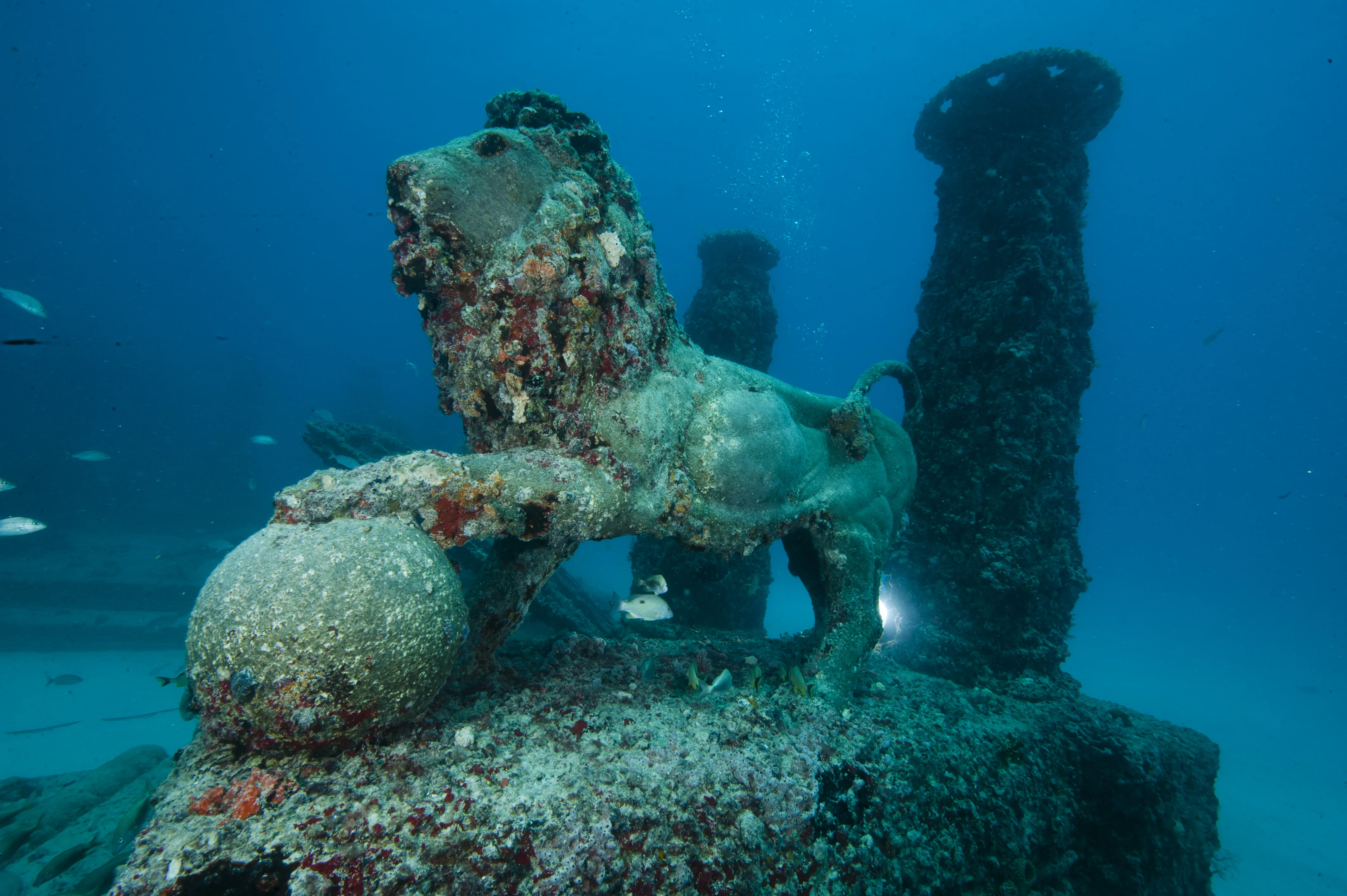 Музей подводной археологии (Museum of Underwater Archaeology)