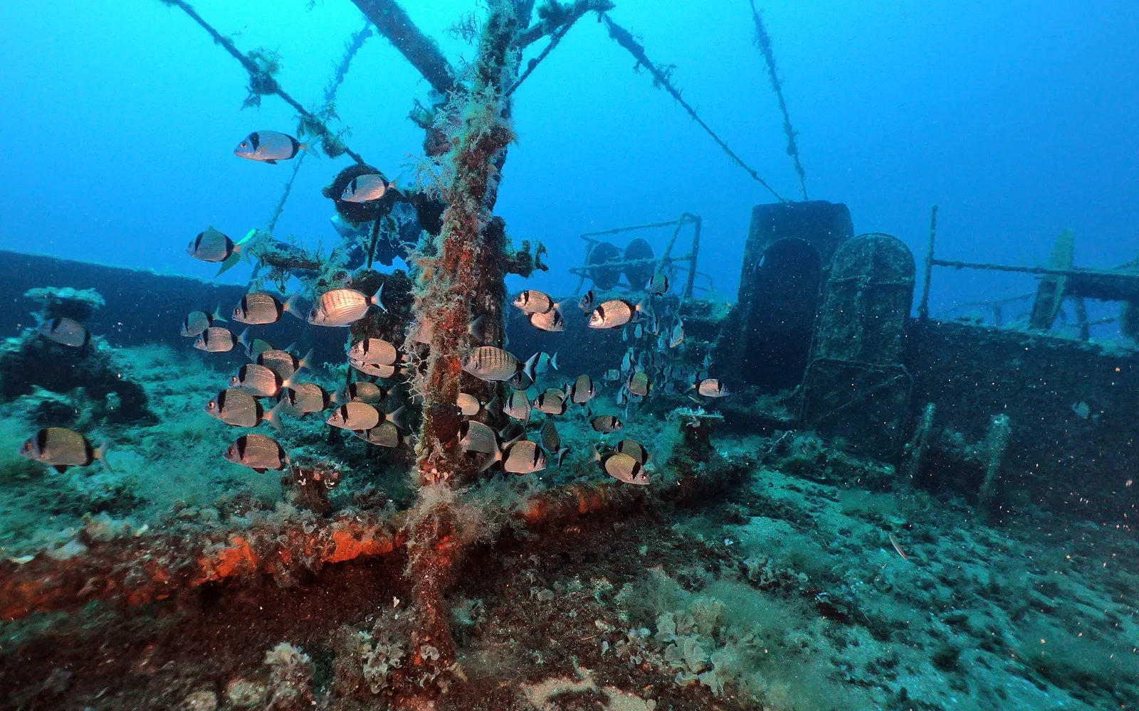Подводное плаванье в Турции