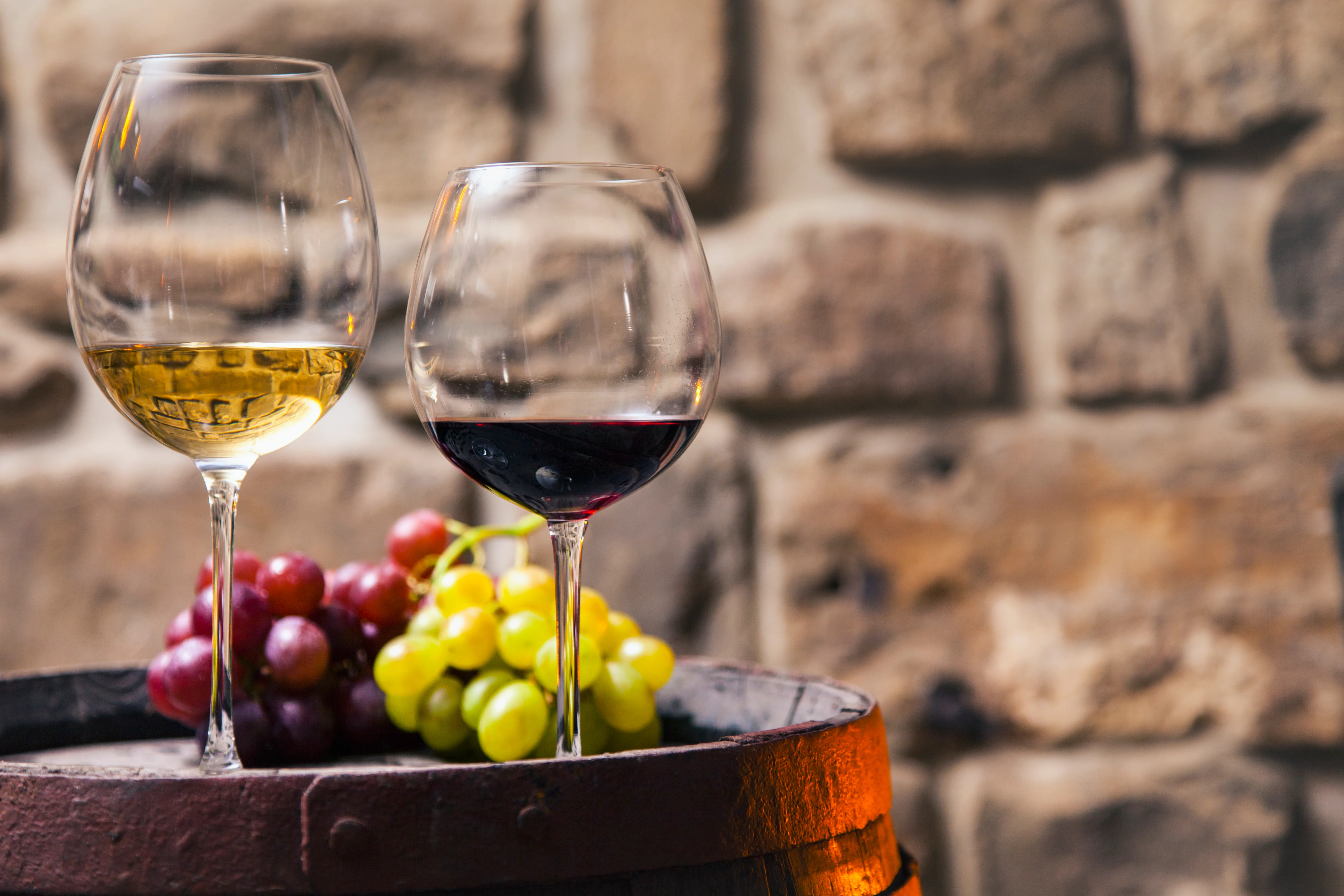 Виноделия и дегустация вин в Турции