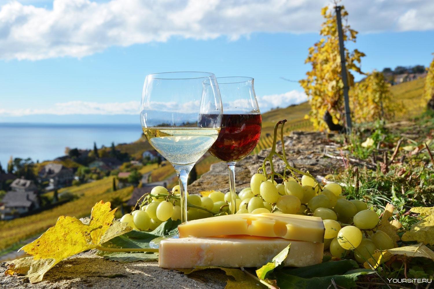 Фестивали и дегустации вин в Бодруме