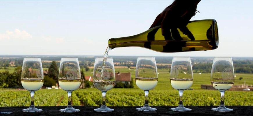Фестивали и дегустации вин в Бодруме